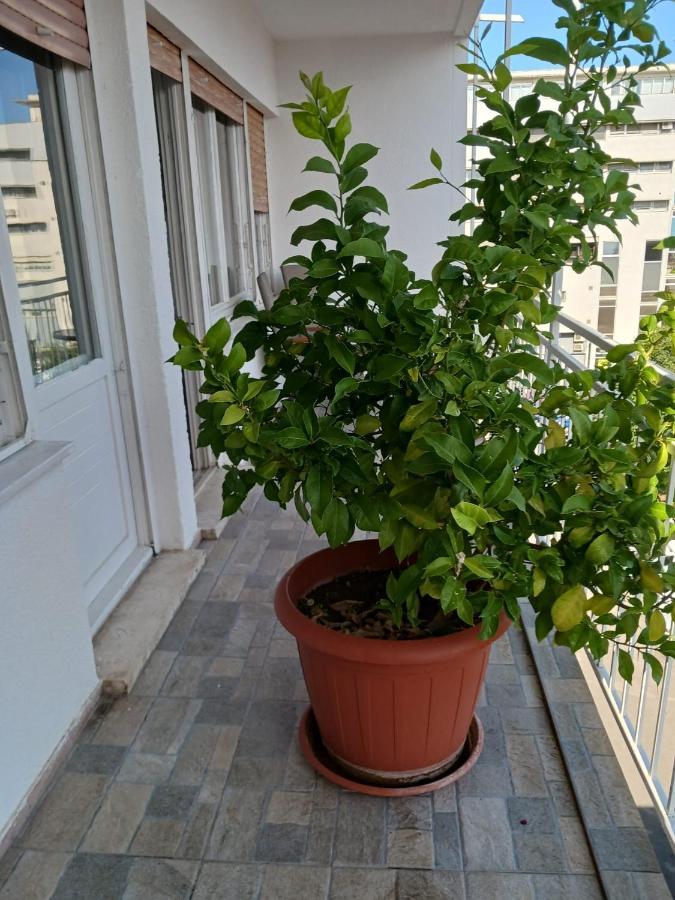 Room With Private Toilet And Terrace In City Center In Shared Apartment Split Exterior foto